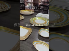 Appareils de table en mélamine de couleur blanche de haute qualité Appareils d'hôtel en mélamine