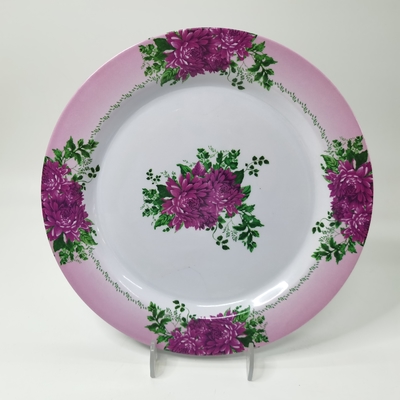 Un bon prix. La vaisselle moderne de mélamine de couleur multi place écologique pour le rassemblement de partie en ligne