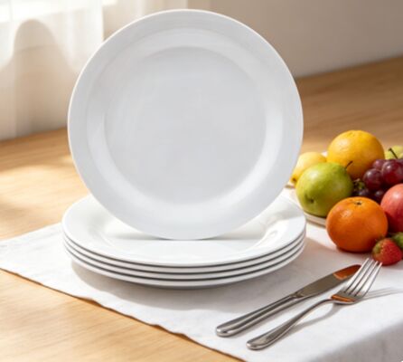 Un bon prix. Poudre de mélamine blanche haute brillance - Résine de qualité A5, sans danger pour le contact alimentaire et résistante aux taches, pour une vaisselle durable en ligne